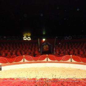 Circus Fliegenpilz auf dem Messegelände Braunschweig