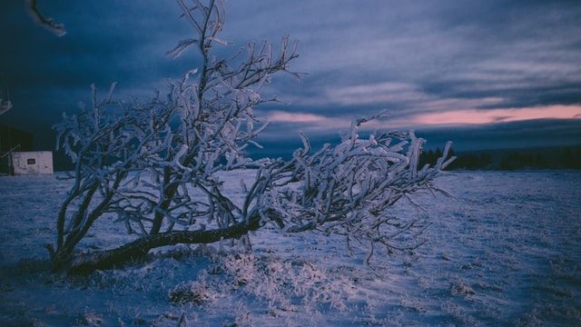 Rhön