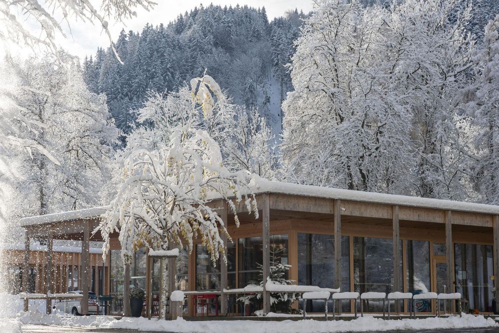 Ferien über Silvester 2026/27 in Dornbirn – Camping Dornbirn & Apartments