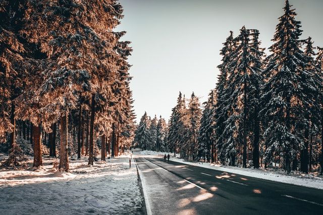 Taunus