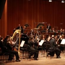 Neujahrskonzert 2024 der Brandenburger Symphoniker