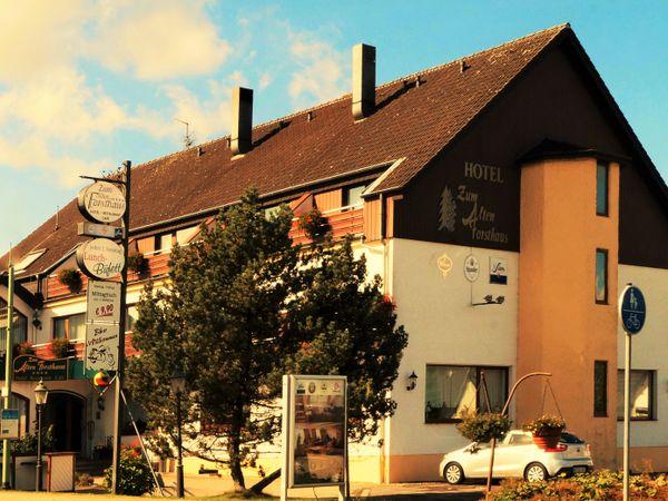 Land-gut-Hotel Zum Alten Forsthaus image 2