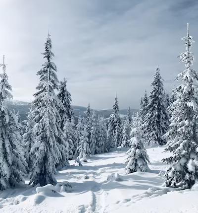 Mühlstodl Reiteralm