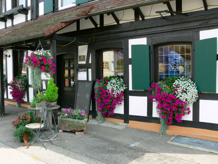 Landgasthof Blume image 1