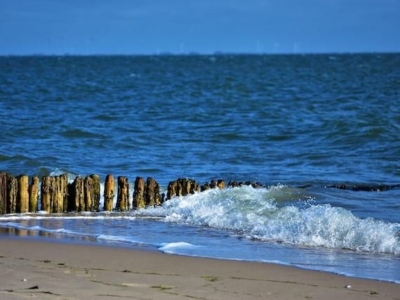 Föhr