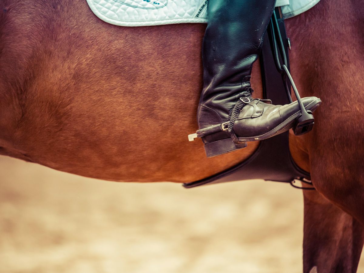 Spanische Hofreitschule - Lipizzaner Klassik