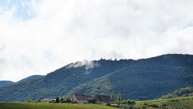 Pfalz