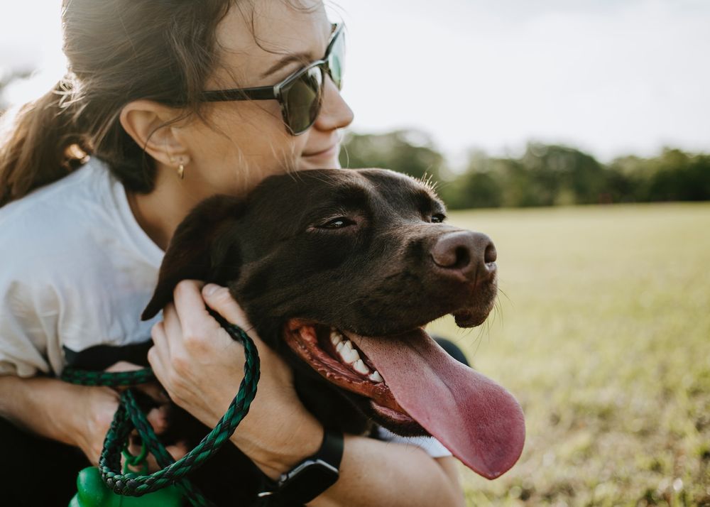 3 Tage Silvester-Urlaub mit Hund in Hamburg