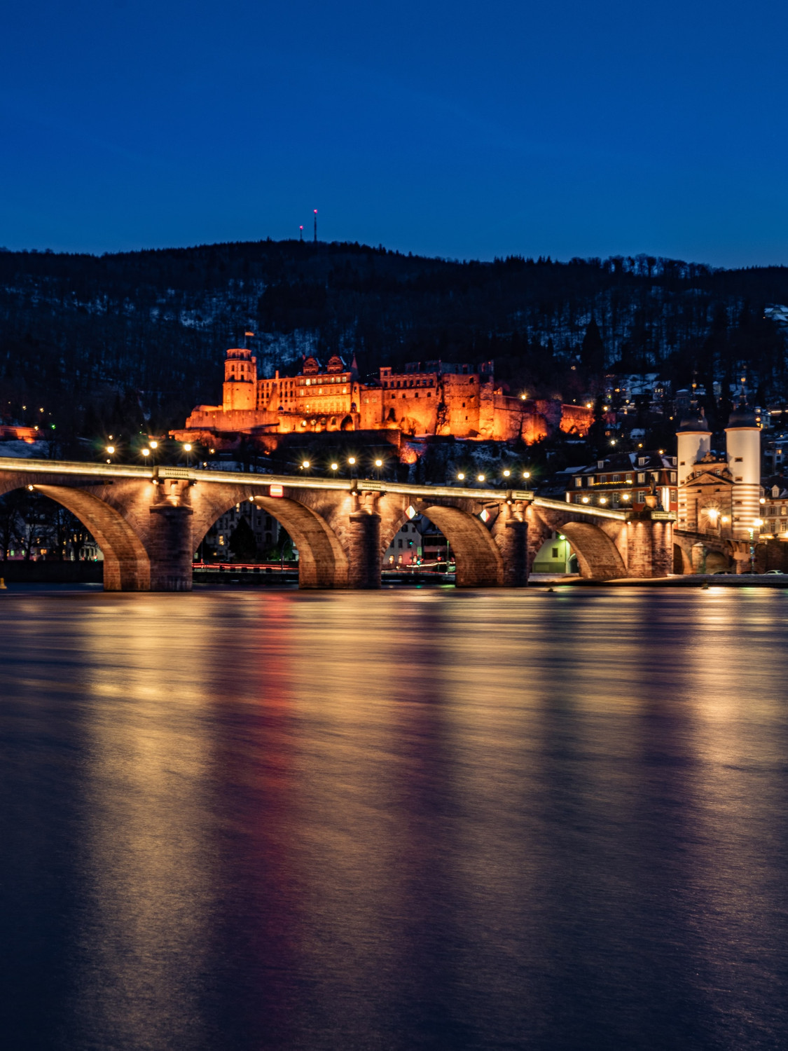 Schloss Heidelberg image 1