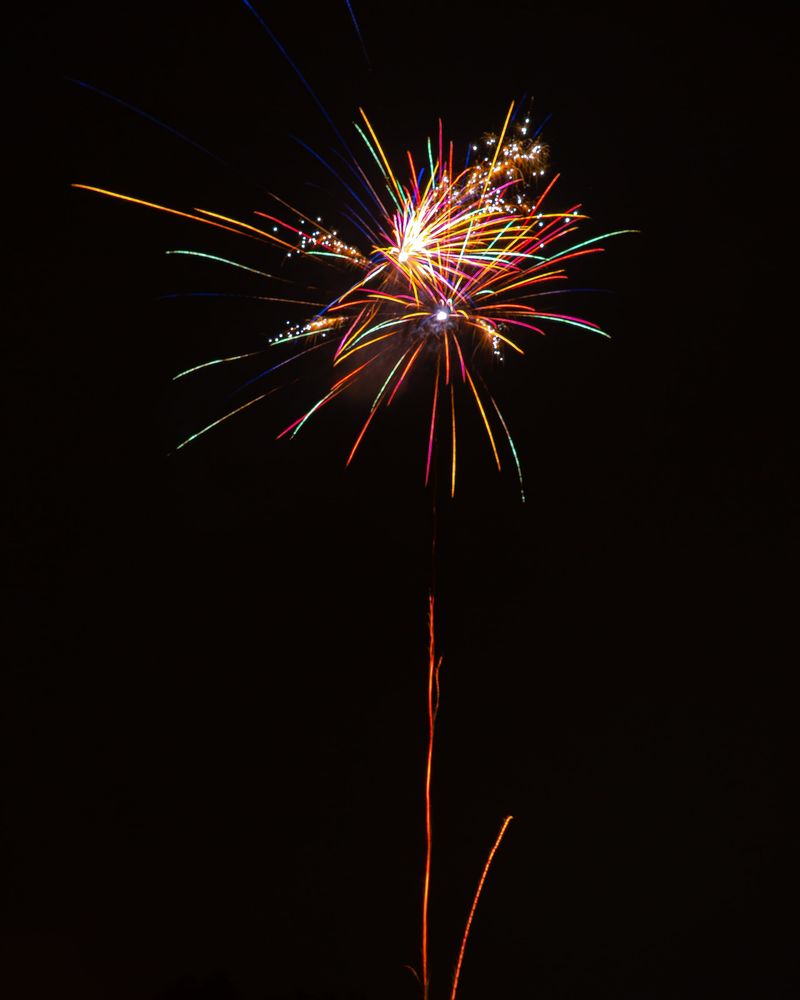Venga Venga Silvester Halle