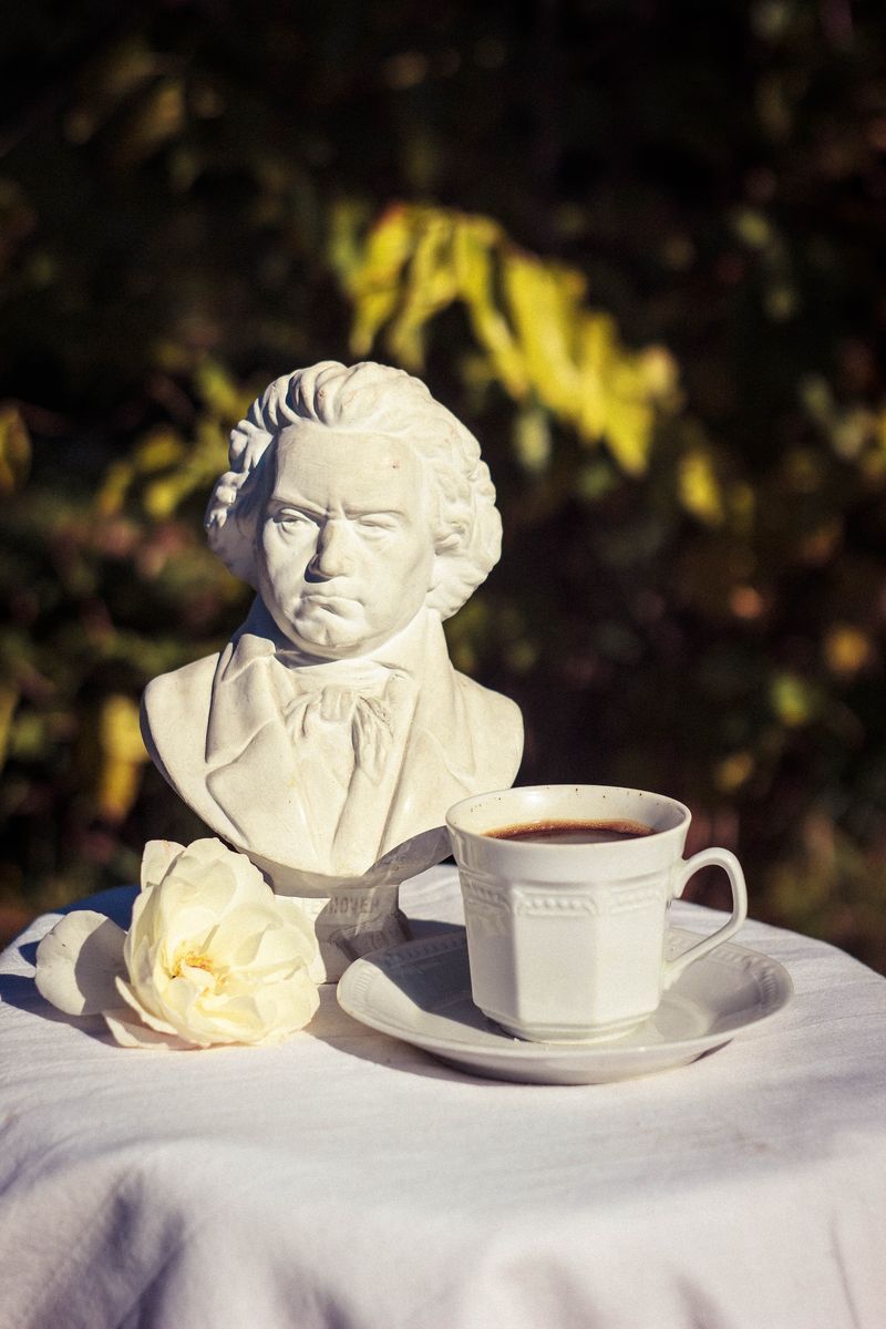 Silvesterkonzert - Beethoven 9. Symphonie