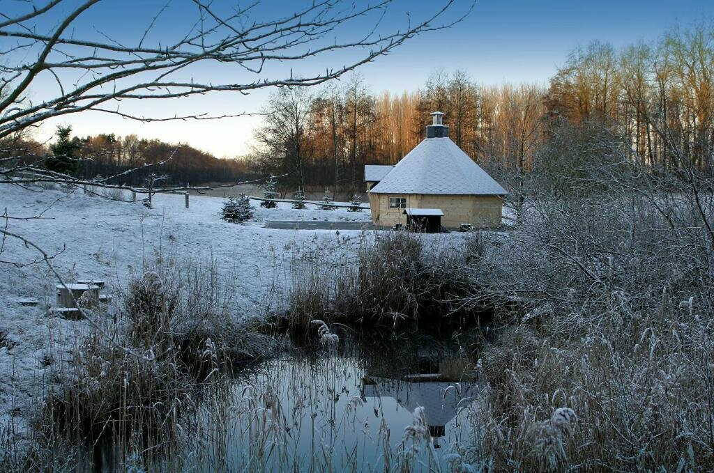Seehotel Luisenhof image 2