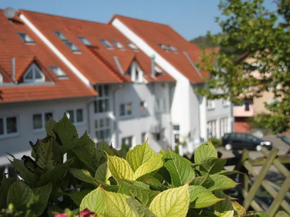 Hotel Leo Mühlhausen image 1