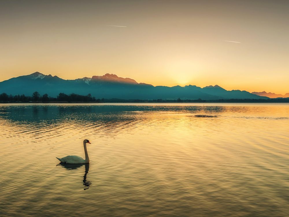 Chiemsee