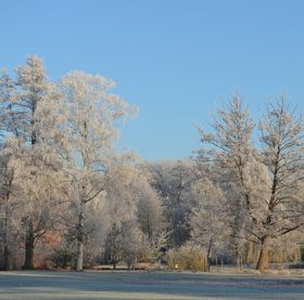 Neujahrswanderung in Bad Bevensen