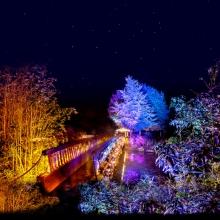 Christmas Garden Karlsruhe image 1