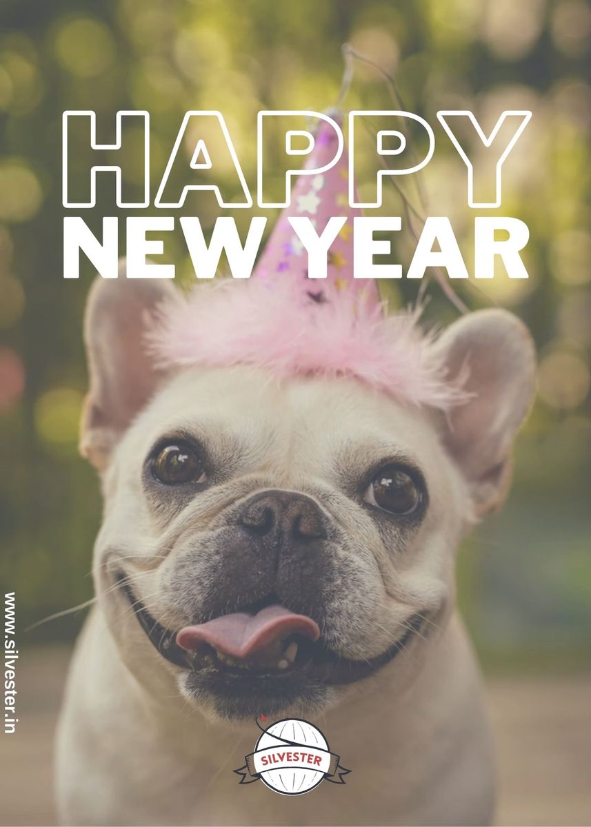 Sende deinen Freunden und Freundinnen diese süßen Silvester-Grüße per WhatsApp oder E-Mail und wünsche ihnen einen guten Rutsch ins neue Jahr!