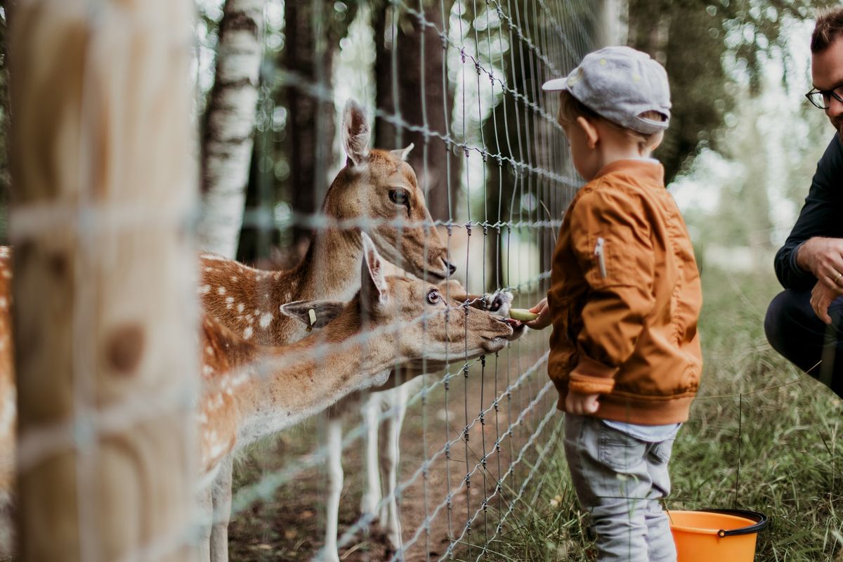 Silvester mit Zoobesuch - Familien-Urlaub in Leipzig