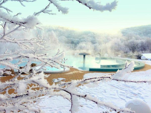 Toskana Therme Bad Sulza image 1