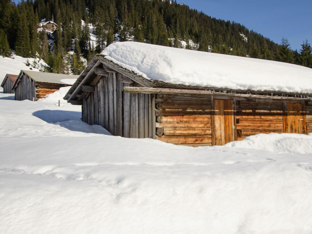Lech