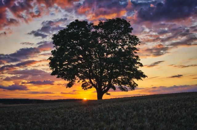 Havelland