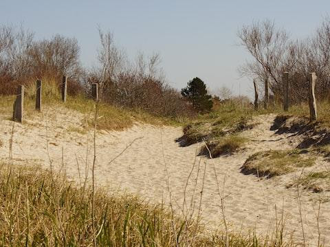 Silvester in: Hiddensee