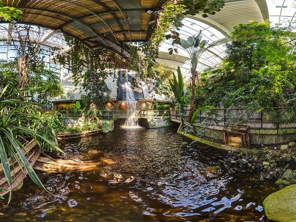 Silvesterveranstaltung: 3 Tage Familienausflug in die Biosphäre Potsdam