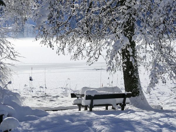 Silvesterveranstaltung: Winterauszeit im Mariazellerland – Erholung & Natur im Aktivhotel Weisser Hirsch