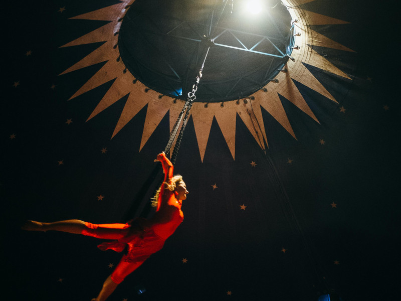 Silvesterveranstaltung: Bonner Weihnachtscircus - Silvester-Gala Bonner Weihnachtscircus 2023/2024