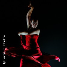 Flyer der Silvesterveranstaltung: Flamenco Vivo: Silvester 2024 in der Passionskirche Kreuzberg