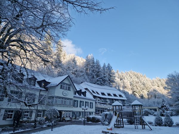 Flyer der Silvesterveranstaltung: Silvester im Waldhotel Bad Sulzburg – Entspannung & Genuss im Schwarzwald