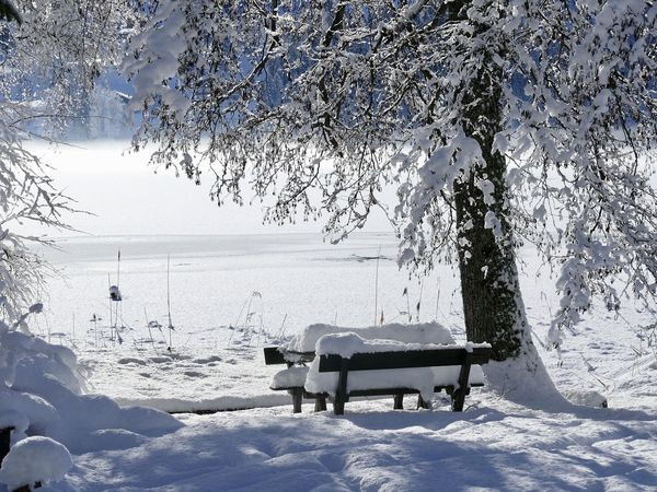 Flyer der Silvesterveranstaltung: WinterAUSZEIT über Silvester 2024 in der Steiermakr: AKTIVHOTEL Weisser Hirsch