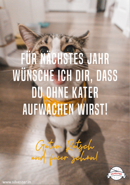  "Für nächstes Jahr wünsche ich dir, dass du ohne Kater aufwachen wirst! Guten Rutsch und feier' schön!" 