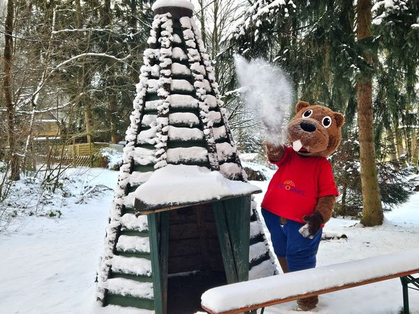 Silvesterfeier im Harz mit Live-Musik – Ein unvergesslicher Jahreswechsel für die ganze Familie