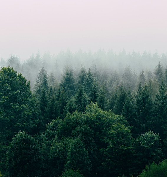 Silvester 2025/2026 im Hotel Luisenpark Bad Bergzabern | Jahreswechsel in der Pfalz