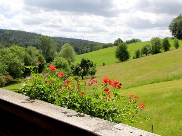 Silvester ohne Trubel im Hotel Gassbachtal – Natur, Genuss und Comedy im Odenwald