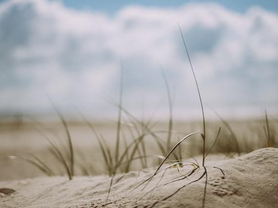 Langeoog