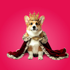 Royals – Bitterböse Komödie von Felix Krakau im Theater der Altstadt Stuttgart