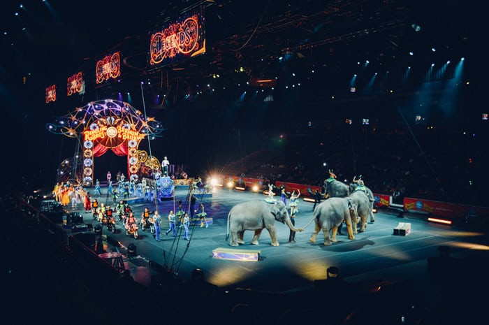 Silvesterveranstaltung: Moskauer Weihnachtscircus in  Augsburg