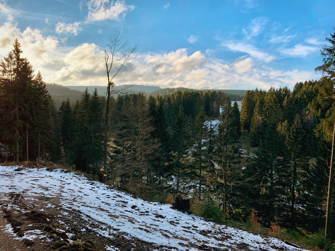 Silvester in: Thüringer Wald