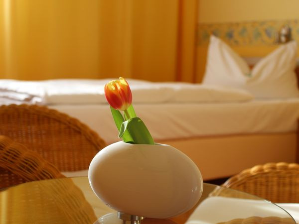 Silvester am Plauer See - 6 Tage zum Entspannen Parkhotel Klüschenberg 2025/2026