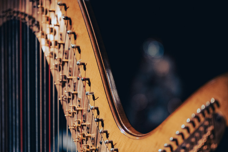 Flyer der Silvesterveranstaltung: Silvesterkonzert 2025 in St. Martha Nürnberg: Evelyn Huber – Magic of Harp