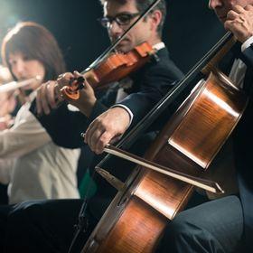 Silvesterveranstaltung: Braunschweiger Dom