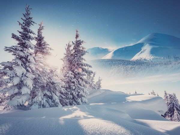 Winterzauber 2025/26 im Salzburger Land – 7 Nächte im Landhotel Postgut