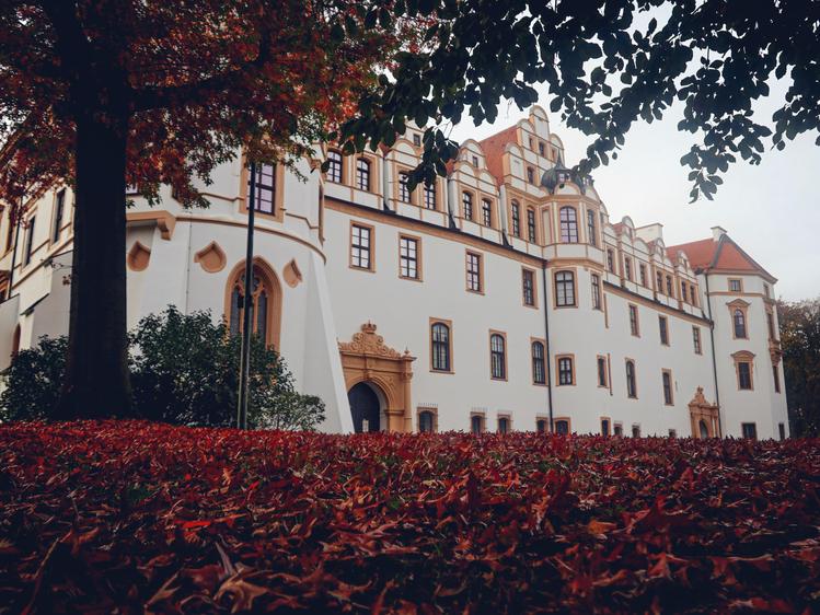 Silvesterveranstaltung: Schlosstheater Celle