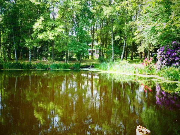 Silvester 2025 in der Lüneburger Heide – Musical-Highlight & stilvolle Party im Hotel Heide Kröpke