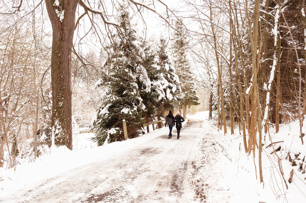 Silvester in: Erzgebirge