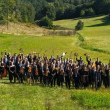 Silvesterveranstaltung: Neujahrskonzert 2024 des Sinfonieorchesters des Landkreiseses Kaiserslautern 