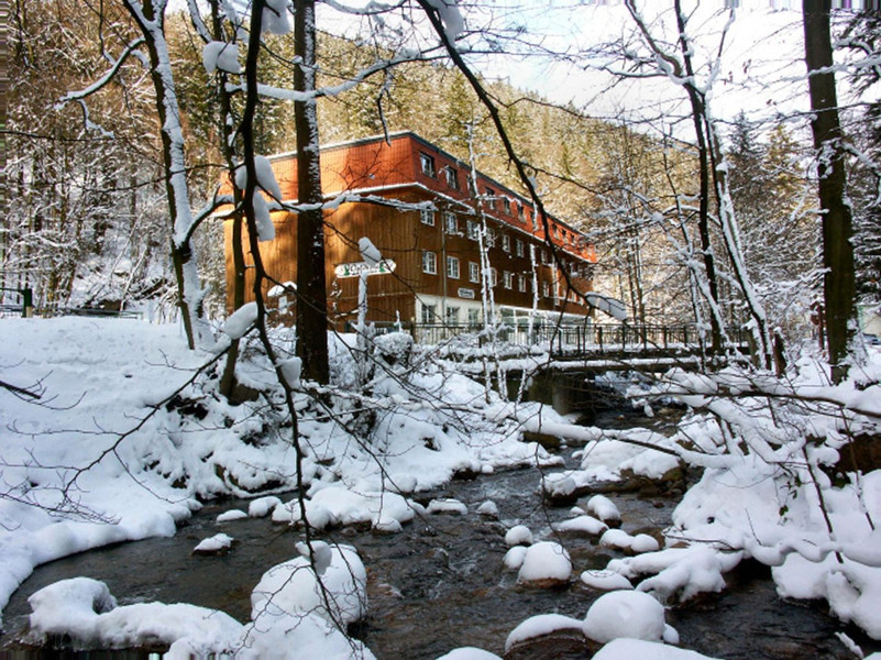 Silvesterveranstaltung: Silvesterreise in den Harz mit 10 Übernachtungen und Frühstück