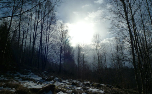 Winterliche Berglandschaft